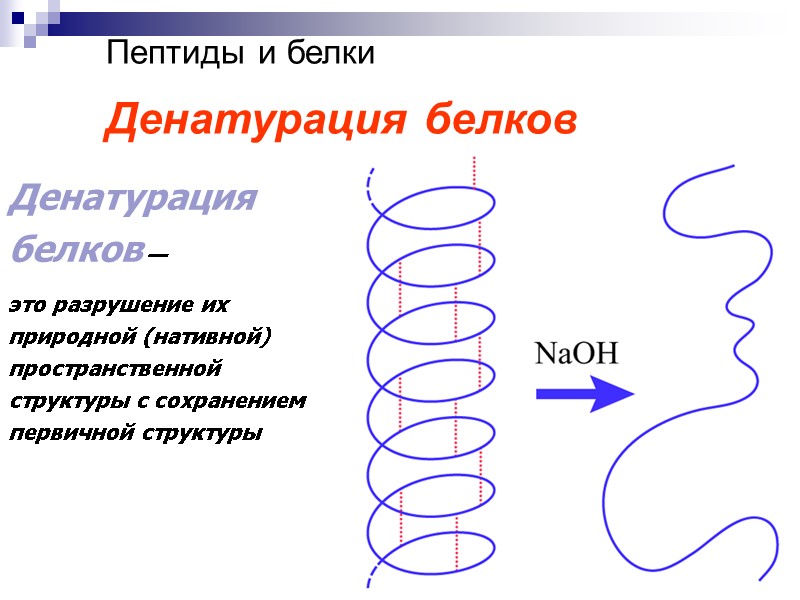 80 Пептиды и белки   Денатурация белков Денатурация белков —  это разрушение